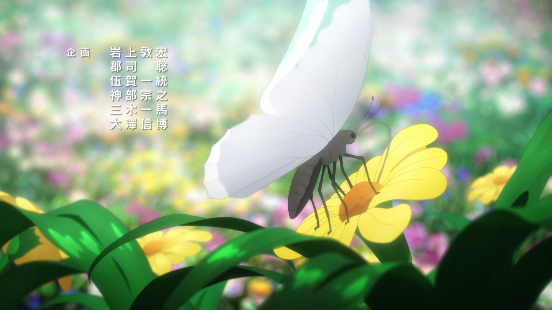 Sword Art Online: Alicization (a&c world)